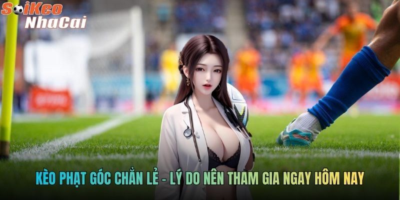 Kèo phạt góc chẵn lẻ - Lý do nên tham gia ngay hôm nay