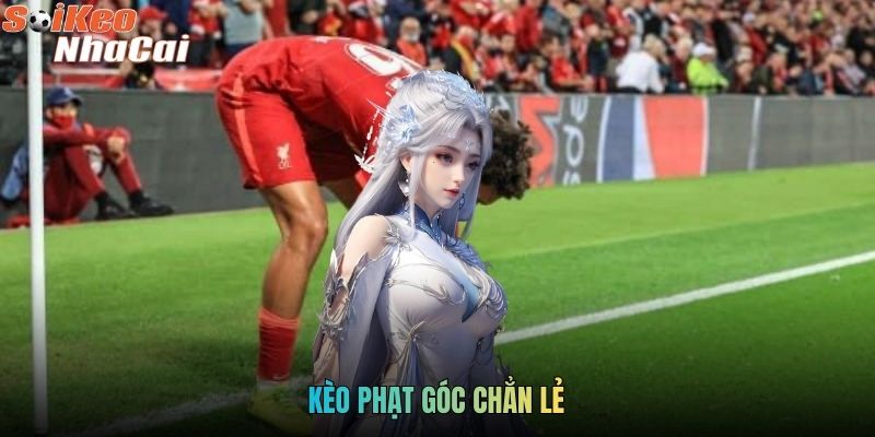 Kèo Phạt Góc Chẵn Lẻ - Cách Chơi Và Bí Kíp Thắng Lớn Năm 2026