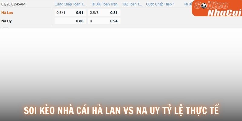 Soi kèo nhà cái Hà Lan vs Na Uy tỷ lệ thực tế
