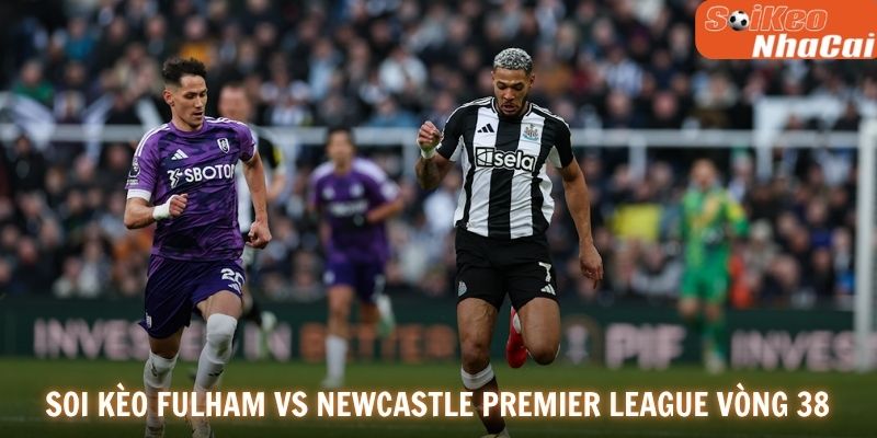 Soi kèo nhà cái Fulham vs Newcastle 24/05