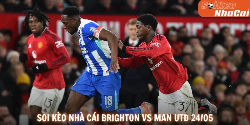 Soi kèo nhà cái Brighton vs Man Utd 24/05