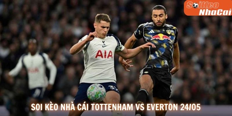 Tình hình lực lượng và đội hình dự kiến Tottenham vs Everton