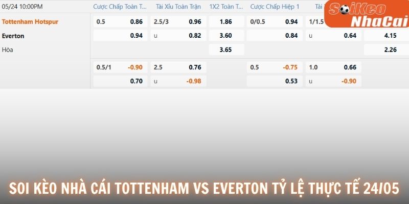 Soi kèo nhà cái Tottenham vs Everton tỷ lệ thực tế 24/05