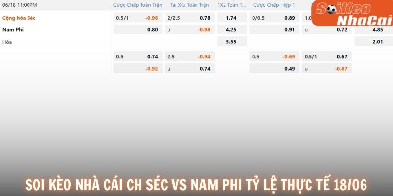 Soi kèo nhà cái CH Séc vs Nam Phi tỷ lệ thực tế 18/06