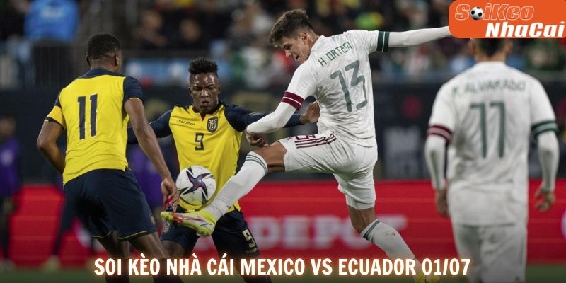 Soi kèo nhà cái Mexico vs Ecuador 01/07