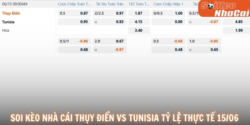 Soi kèo nhà cái Thụy Điển vs Tunisia tỷ lệ thực tế 15/06