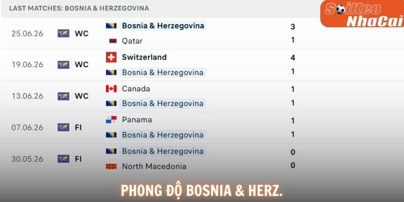 Phong độ Bosnia & Herzegovina