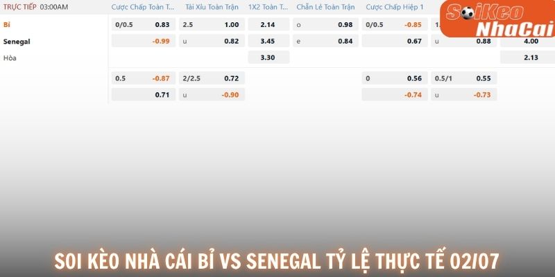 Soi kèo nhà cái Bỉ vs Senegal tỷ lệ thực tế