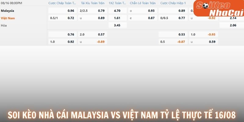 Soi kèo nhà cái Malaysia vs Việt Nam tỷ lệ thực tế