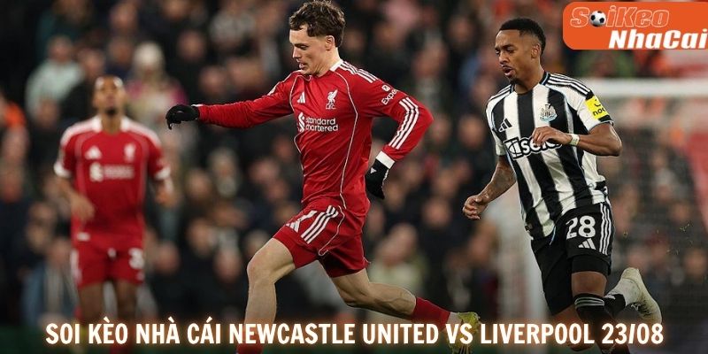 Soi kèo nhà cái  Newcastle United vs Liverpool 23/08