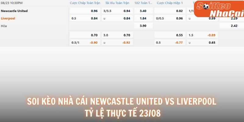 Soi kèo Newcastle United vs Liverpool 23/08