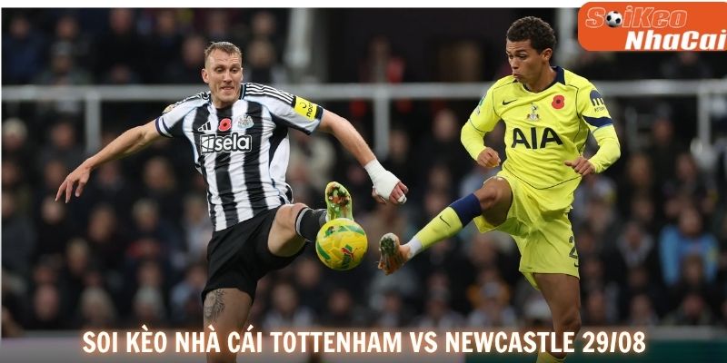 Soi kèo nhà cái Tottenham vs Newcastle 29/08