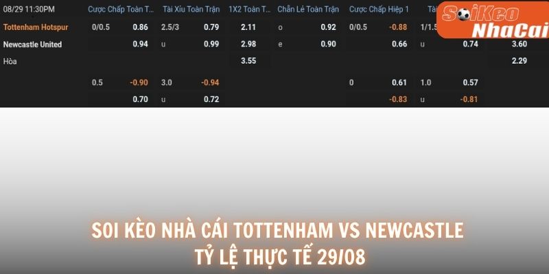 Soi kèo nhà cái Tottenham vs Newcastle 29/08