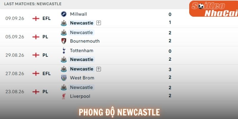 Phong độ Newcastle