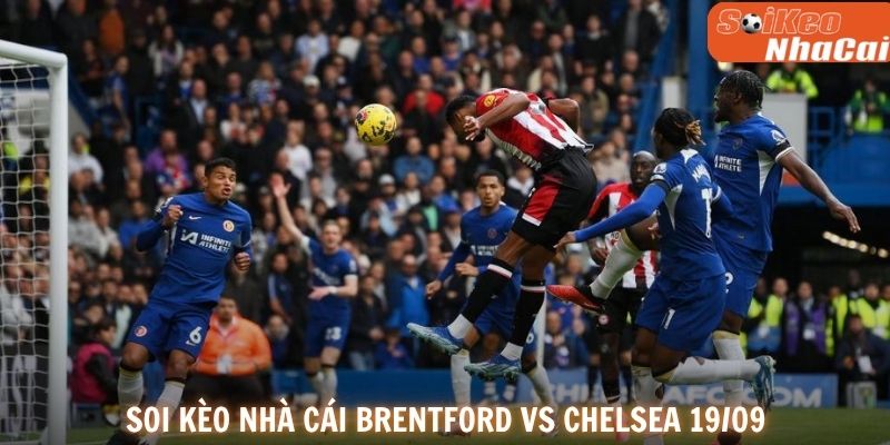 Brentford và Chelsea được kỳ vọng tạo nên màn so tài hấp dẫn