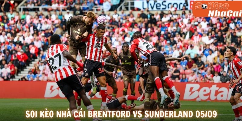 Dự đoán tỷ số Brentford vs Sunderland 05/09