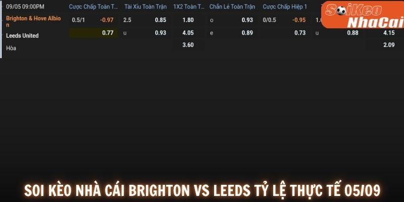 Soi kèo nhà cái tỷ lệ kèo Brighton vs Leeds United 05/09