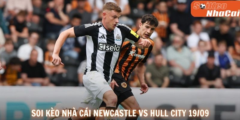 Newcastle được kỳ vọng tận dụng lợi thế sân nhà để vượt qua Hull City