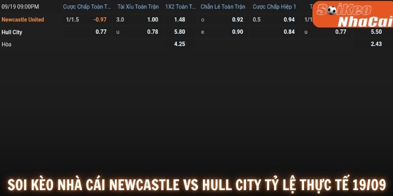 Soi kèo nhà cái Newcastle United vs Hull City tỷ lệ thực tế