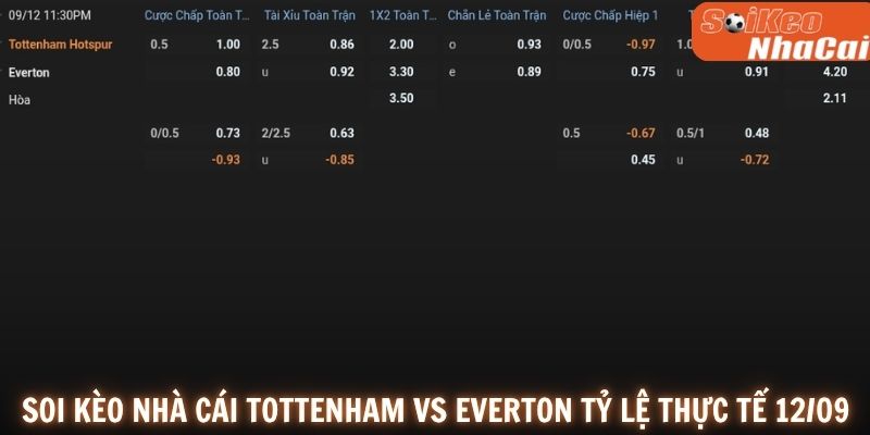 Soi kèo nhà cái tỷ lệ kèo Tottenham vs Everton 12/09 