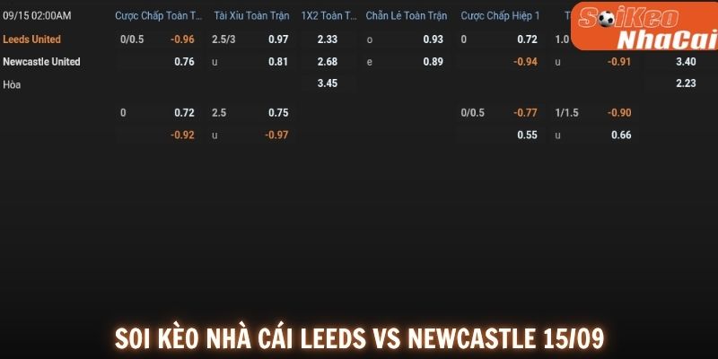 Soi kèo nhà cái Leeds vs Newcastle tỷ lệ thực tế